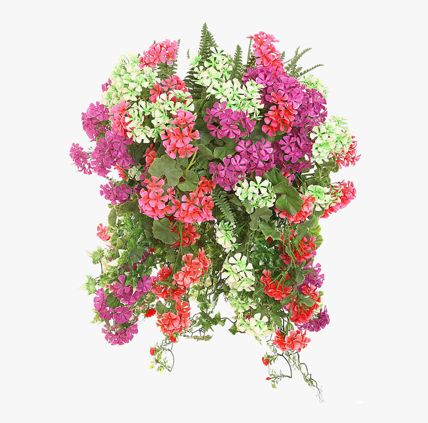 Hanging Flower Baskets, HD Png Download, Free Download