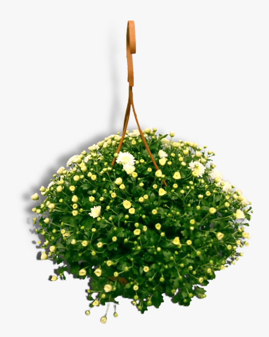 Hanging Flowers Png, Transparent Png, Free Download