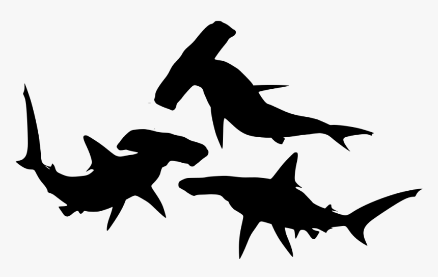 Shark Silhouette Png, Transparent Png, Free Download