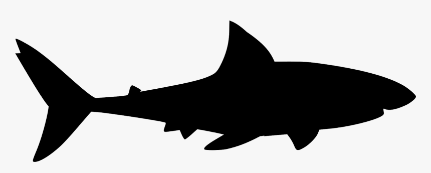 Shark, Jaws, Silhouette, Fish, Great, Tattoo, Animal,, HD Png Download, Free Download