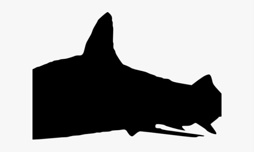 Shark Silhouette, HD Png Download, Free Download