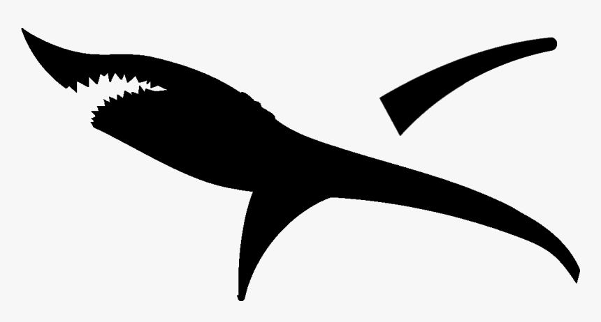 Shark Silhouette Png, Transparent Png, Free Download
