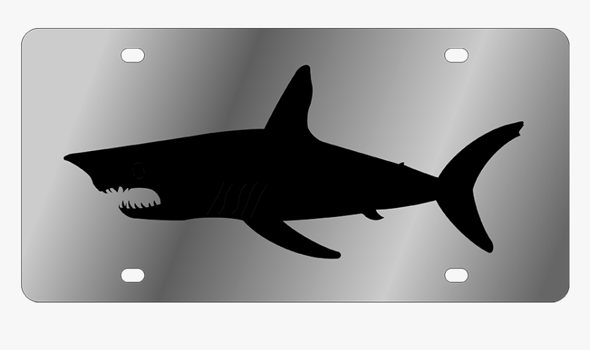 Lifestyle - Ss Plate - Shark, HD Png Download, Free Download