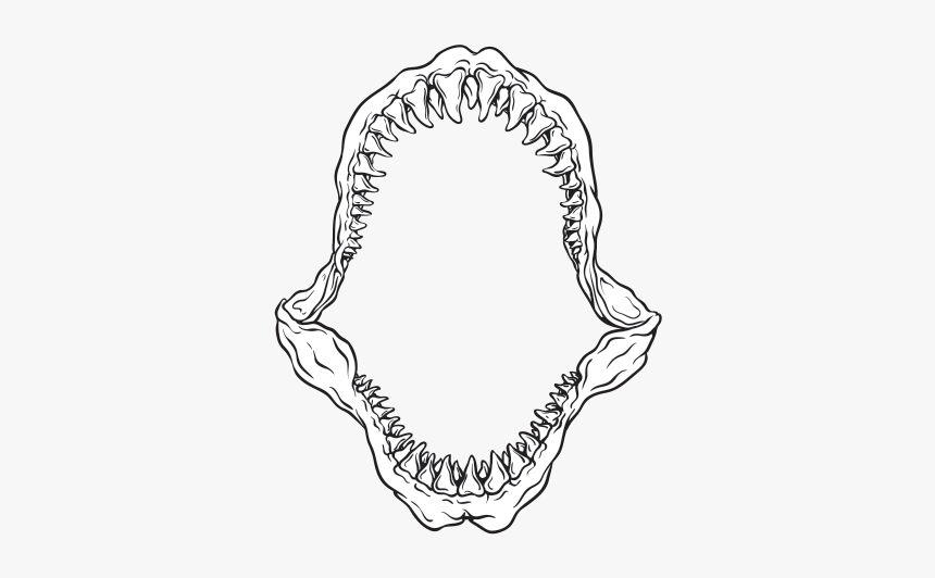 Collection Of Free Jaws Drawing, HD Png Download, Free Download