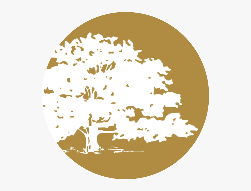 Tree Of Life Silhouette Png, Transparent Png, Free Download