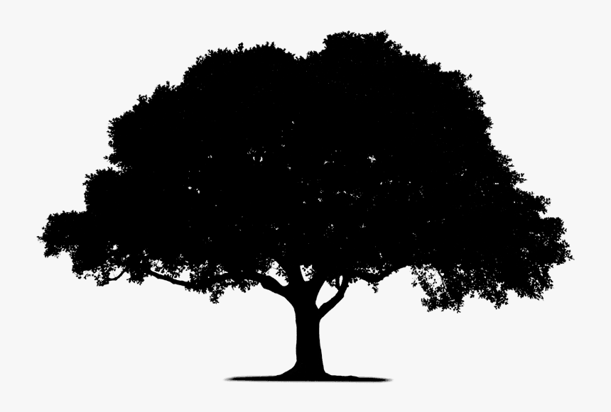 Tree Silhouette, HD Png Download, Free Download