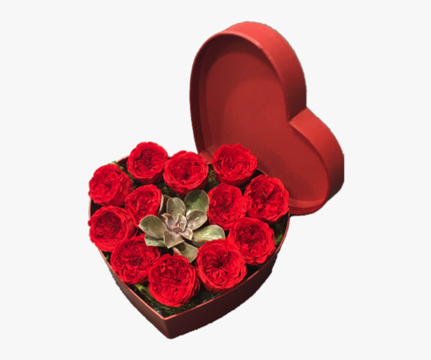 12 Preserved Red Rose Heart Box With Succulent, HD Png Download, Free Download