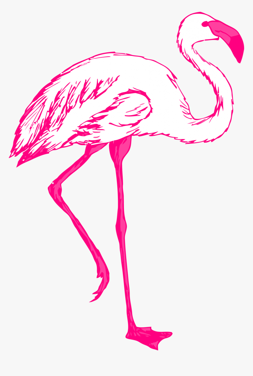 Pink Flamingo Outline Svg Hi Png, Transparent Png, Free Download