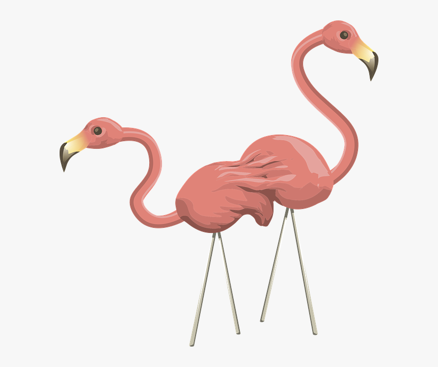 Pink Flamingo Png, Transparent Png, Free Download