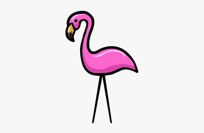 Flamingos Png Download, Transparent Png, Free Download