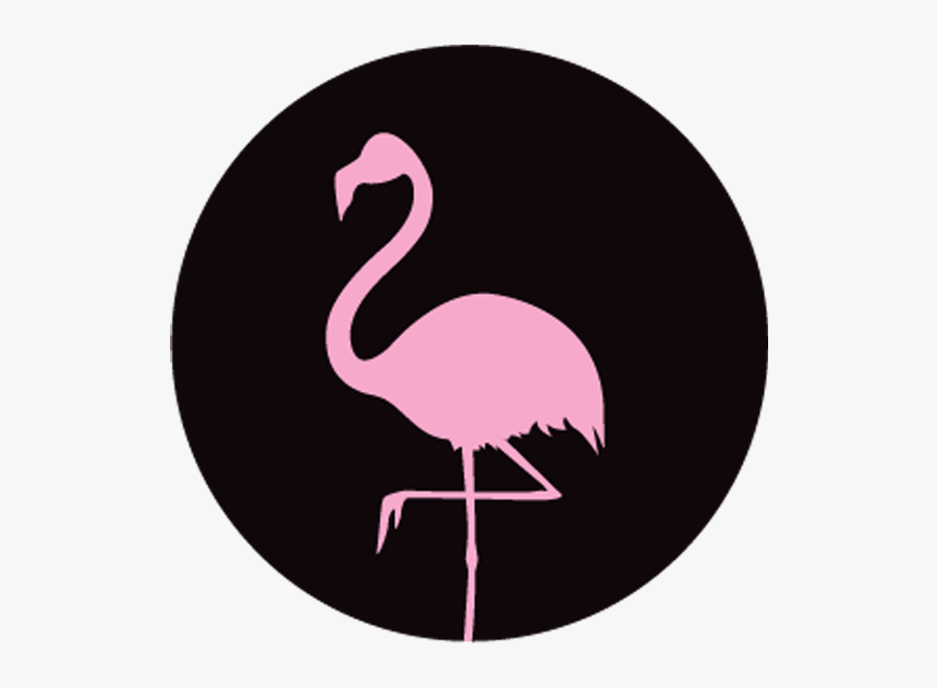 Pink Flamingo Png, Transparent Png, Free Download