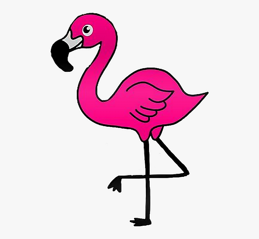 Flamingo Clip Art Transparent, HD Png Download, Free Download