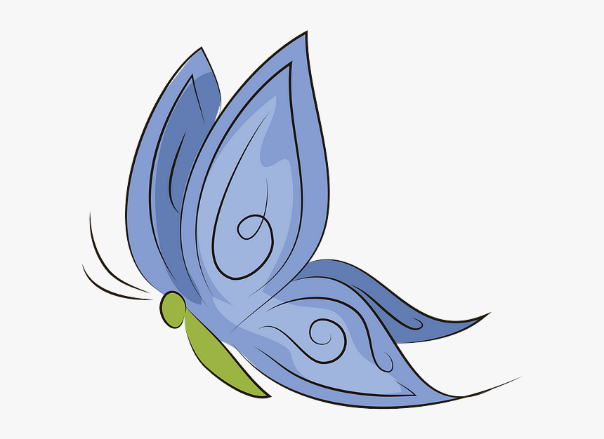 Butterfly Net Png, Transparent Png, Free Download