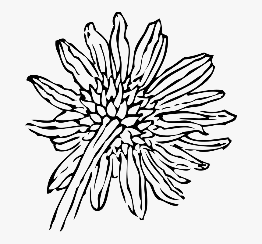 Simple Flower Outline 14, Buy Clip Art, HD Png Download, Free Download