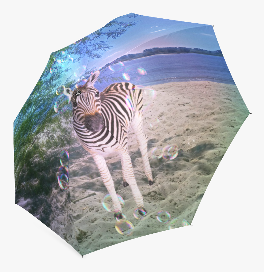 Transparent Baby Zebra Png, Png Download, Free Download