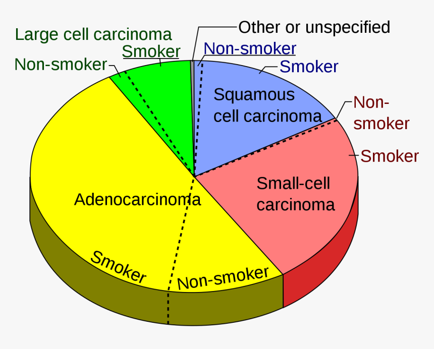 Lung Cancer Ribbon Png, Transparent Png, Free Download