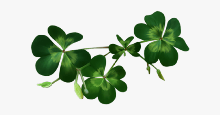 Clover Clipart Border Transparent, HD Png Download, Free Download