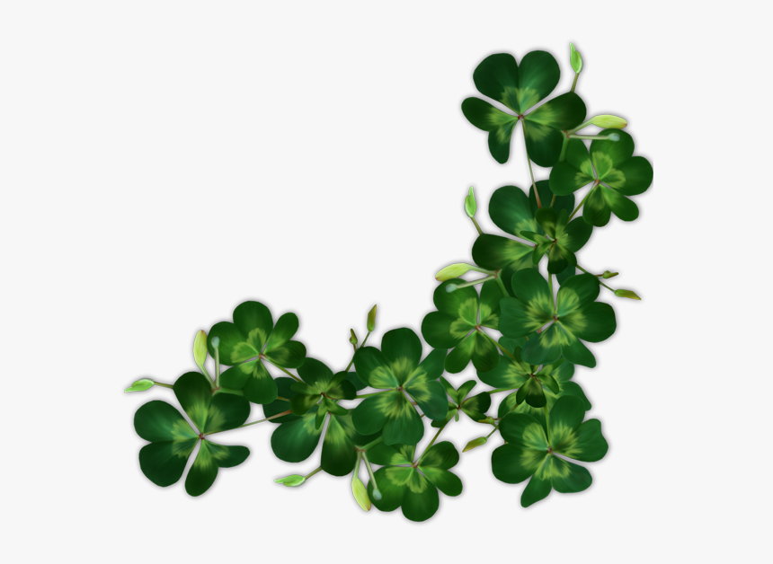 Shamrock Border Png, Transparent Png, Free Download