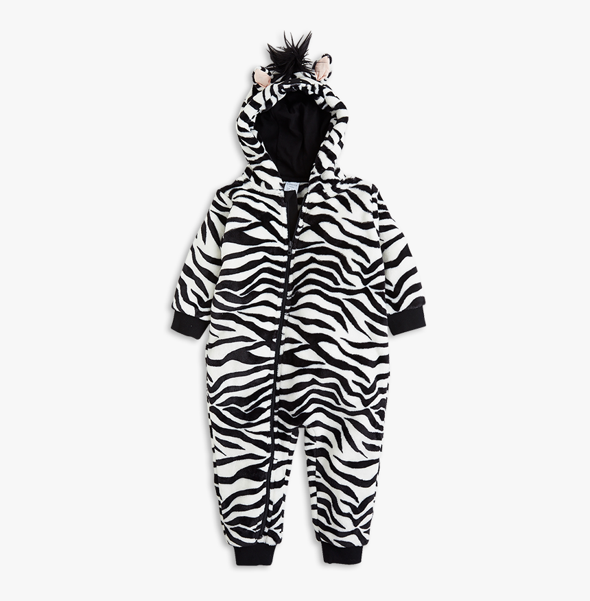 Baby Zebra Png, Transparent Png, Free Download