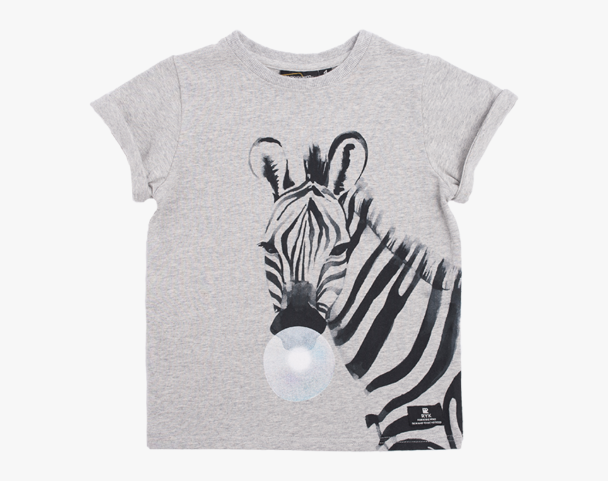 Baby Zebra Png, Transparent Png, Free Download