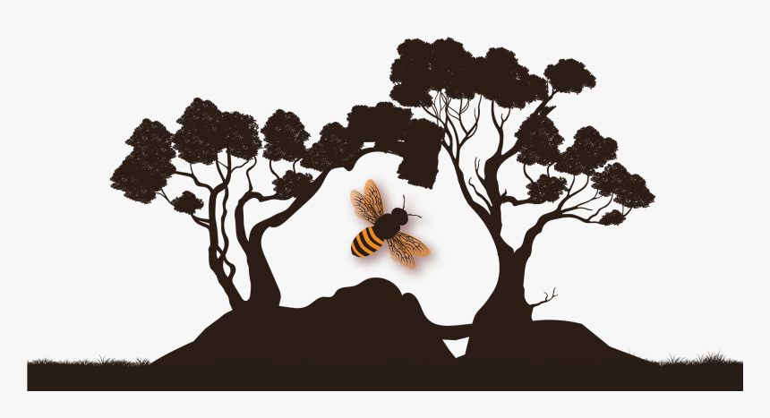 Bee All Natural & Organic Honey, HD Png Download, Free Download