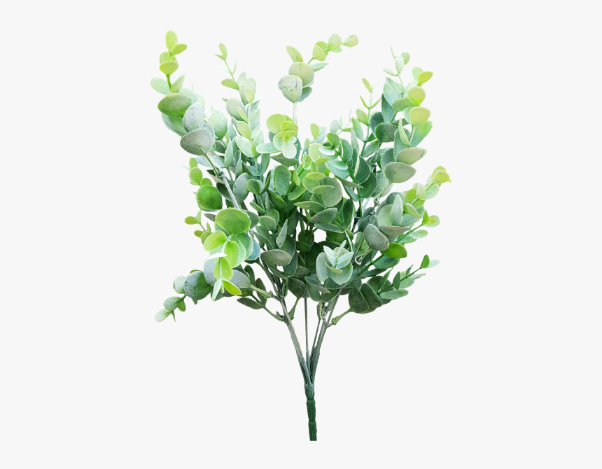 Clip Art Cut Flowers Shrub Gum, HD Png Download, Free Download