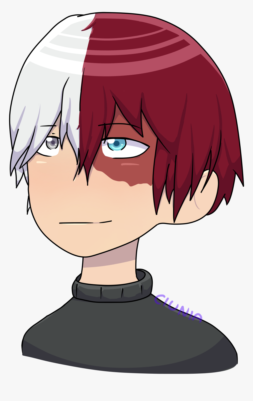 Todoroki Png, Transparent Png, Free Download