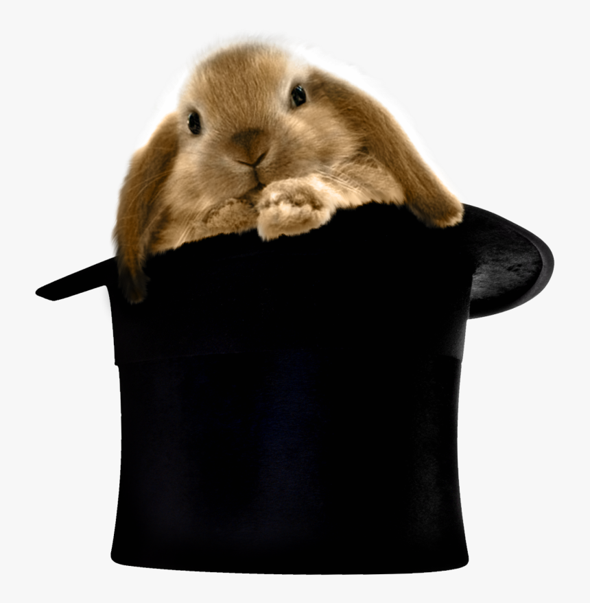 Rabbit Clipart Hat, HD Png Download, Free Download