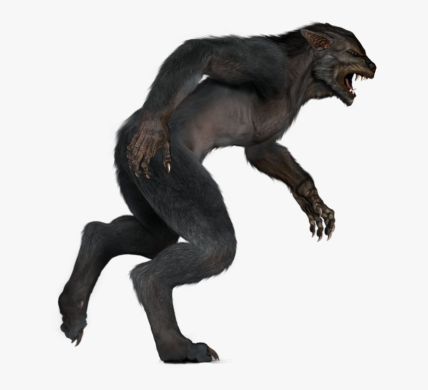 Werewolf, Wolfman, Beast, Creature, Halloween, Fantasy, HD Png Download, Free Download