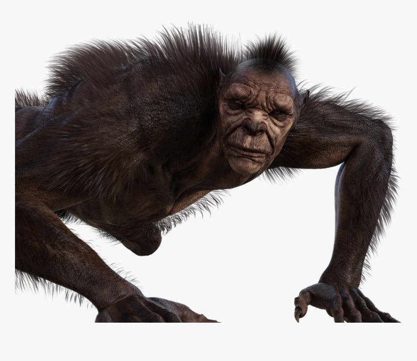 Man, Werewolf, Horror, Monster, Wolfman, Fear, Beast, HD Png Download, Free Download