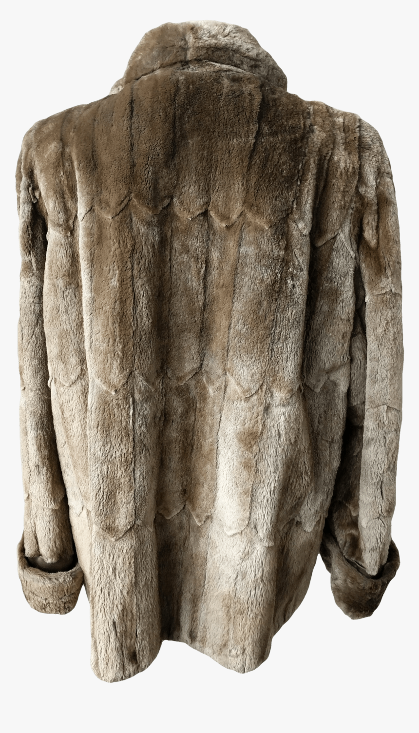 Fur Coat Png, Transparent Png, Free Download