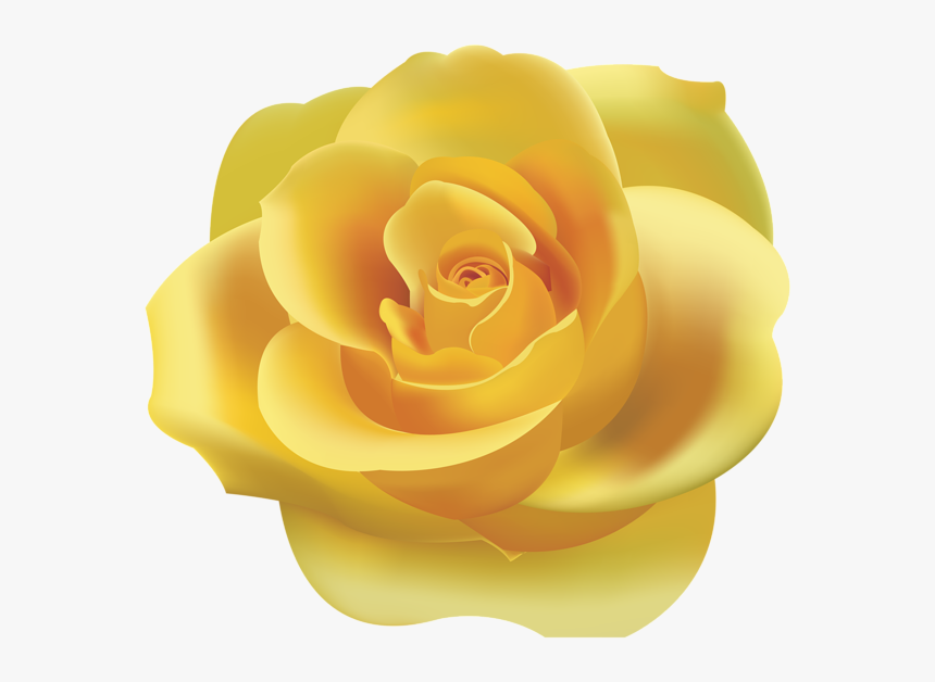 Rose Clipart Yellow Rose, HD Png Download, Free Download