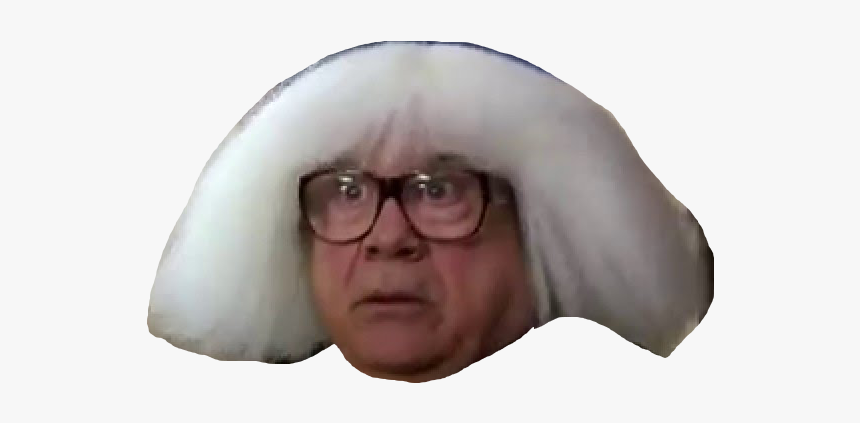 Danny Devito Face Png, Transparent Png, Free Download