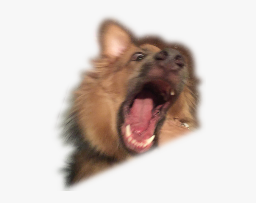 Dog Pooping Png, Transparent Png, Free Download