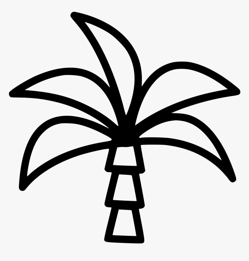 Palm Tree, HD Png Download, Free Download