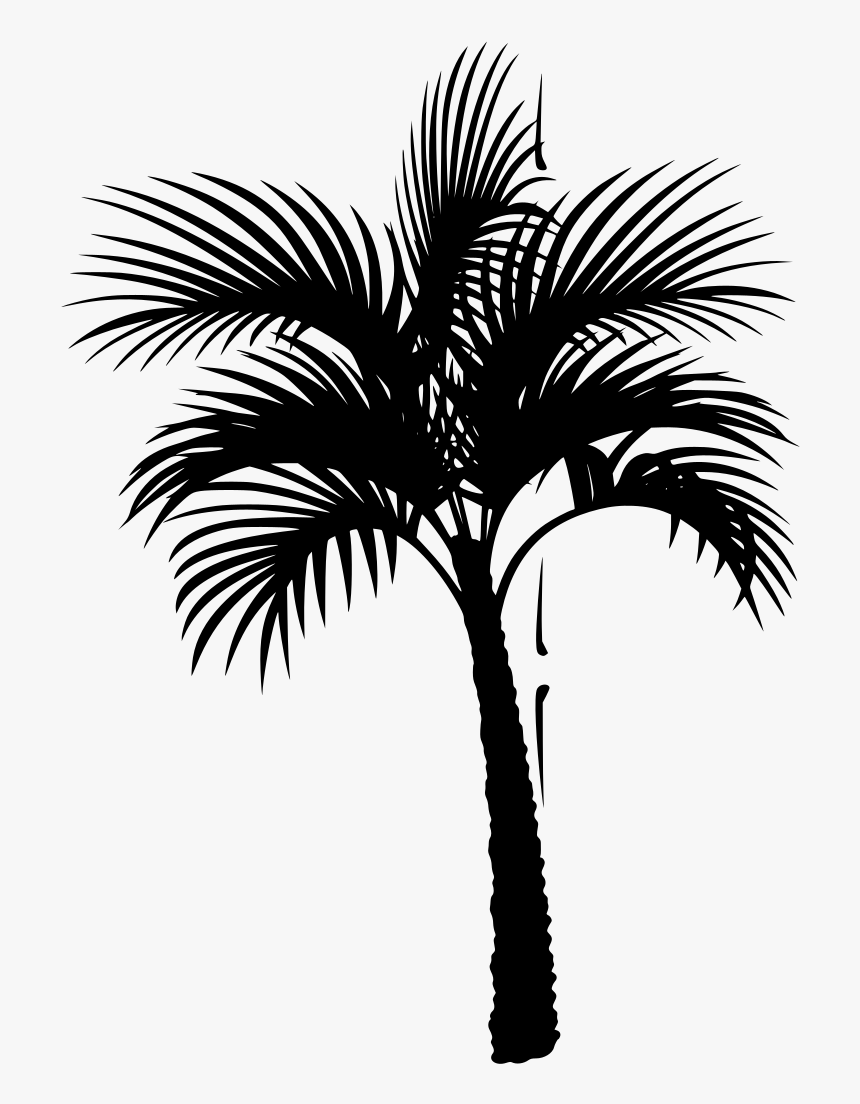 Palm Tree Icon Png, Transparent Png, Free Download