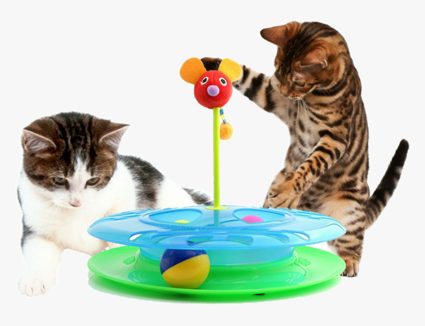 Kittens Clipart Cat Toy, HD Png Download, Free Download