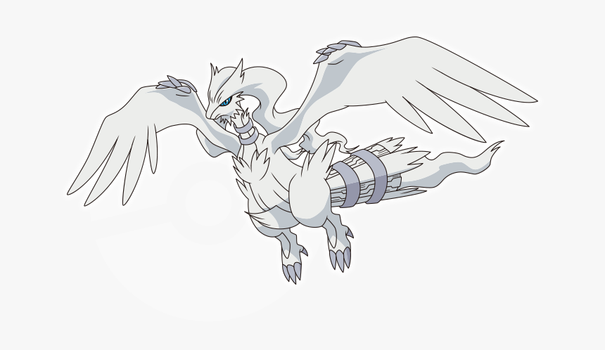 Zekrom Png, Transparent Png, Free Download