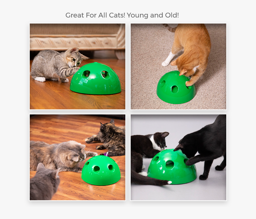 Cat Toy Png, Transparent Png, Free Download