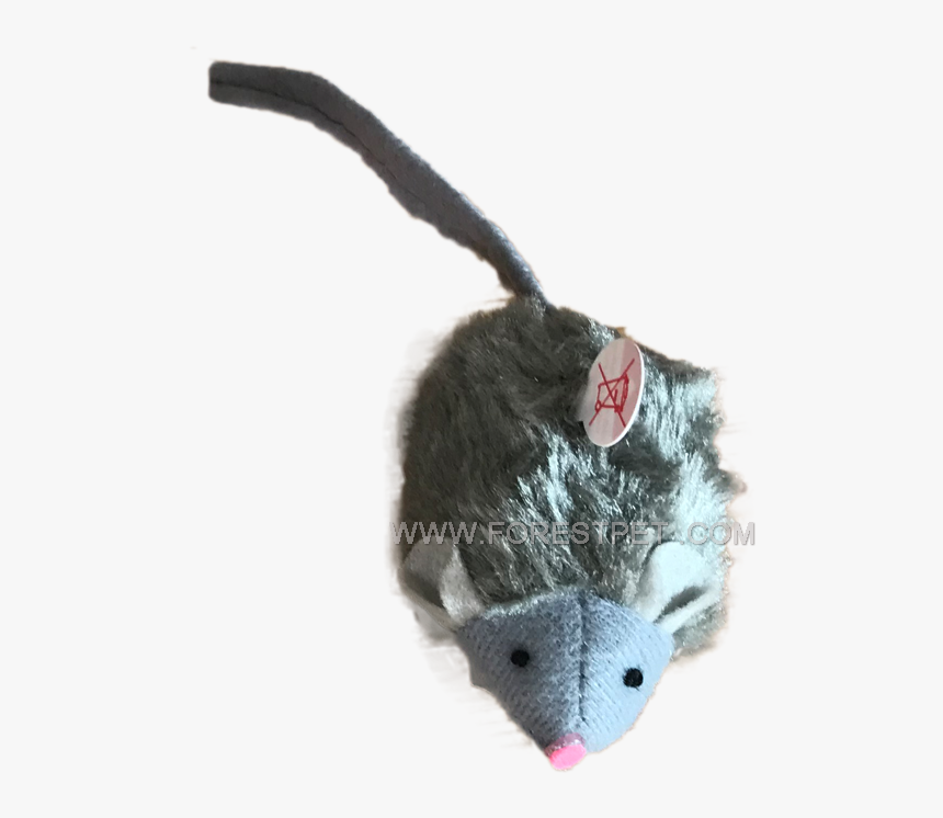 Cat Toy Png, Transparent Png, Free Download