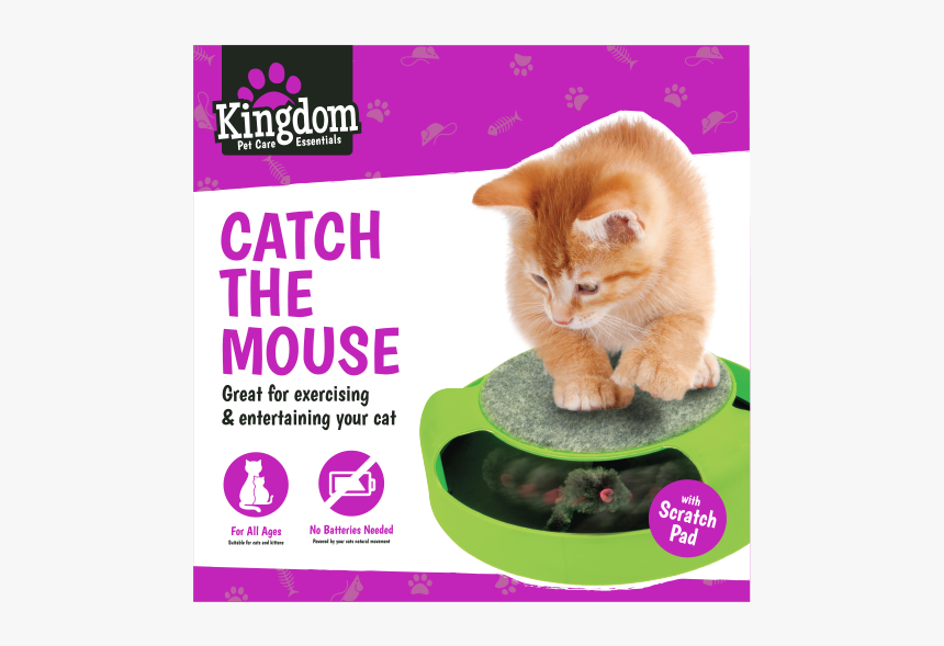 Catch The Mouse Cat Toy, HD Png Download, Free Download