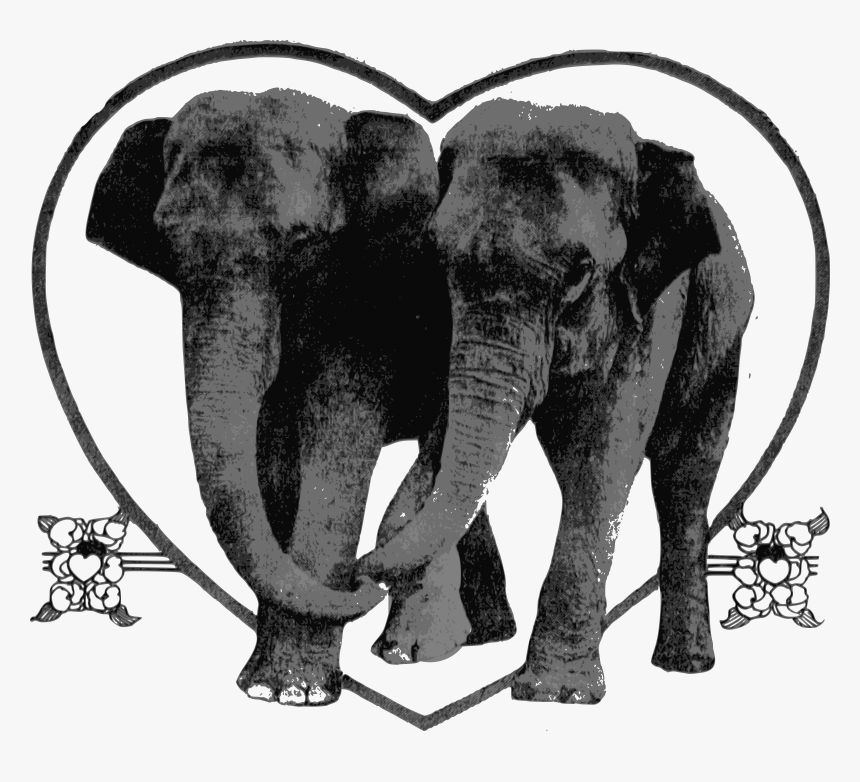 Lover Elephants Clip Arts, HD Png Download, Free Download