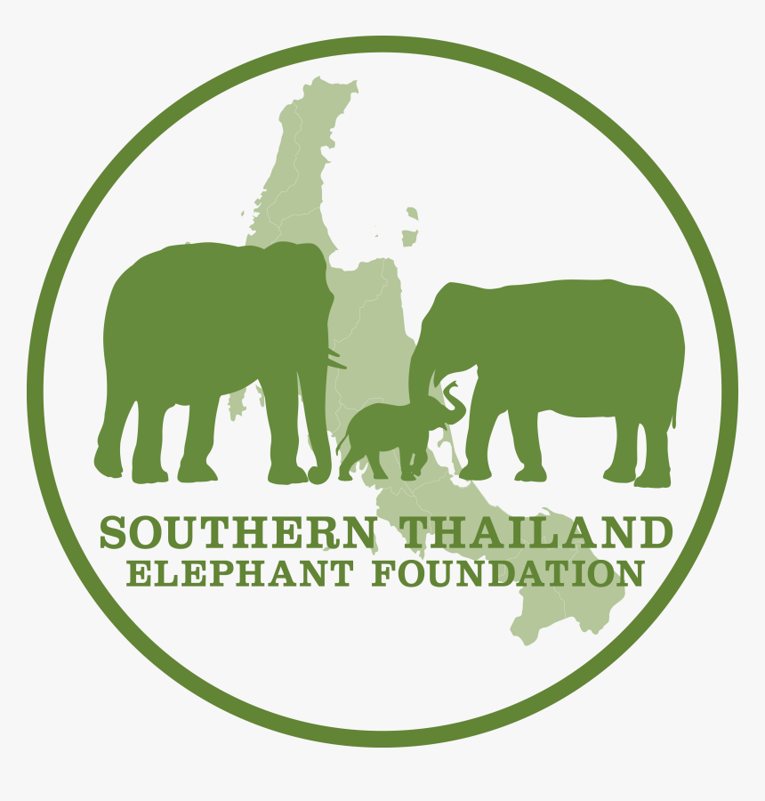 Elephants Png, Transparent Png, Free Download