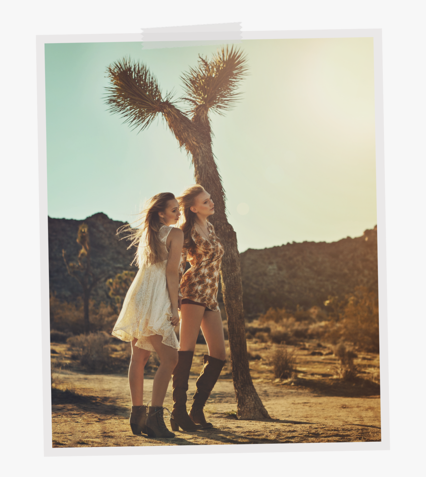 Joshua Tree Both, HD Png Download, Free Download