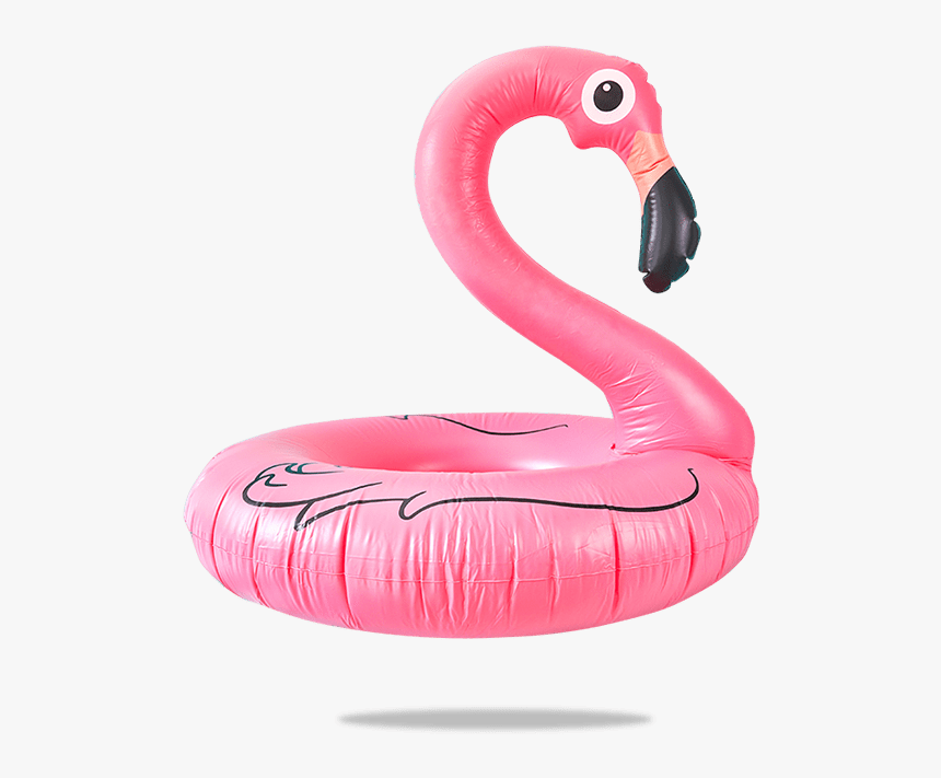 Floatie Png, Transparent Png, Free Download