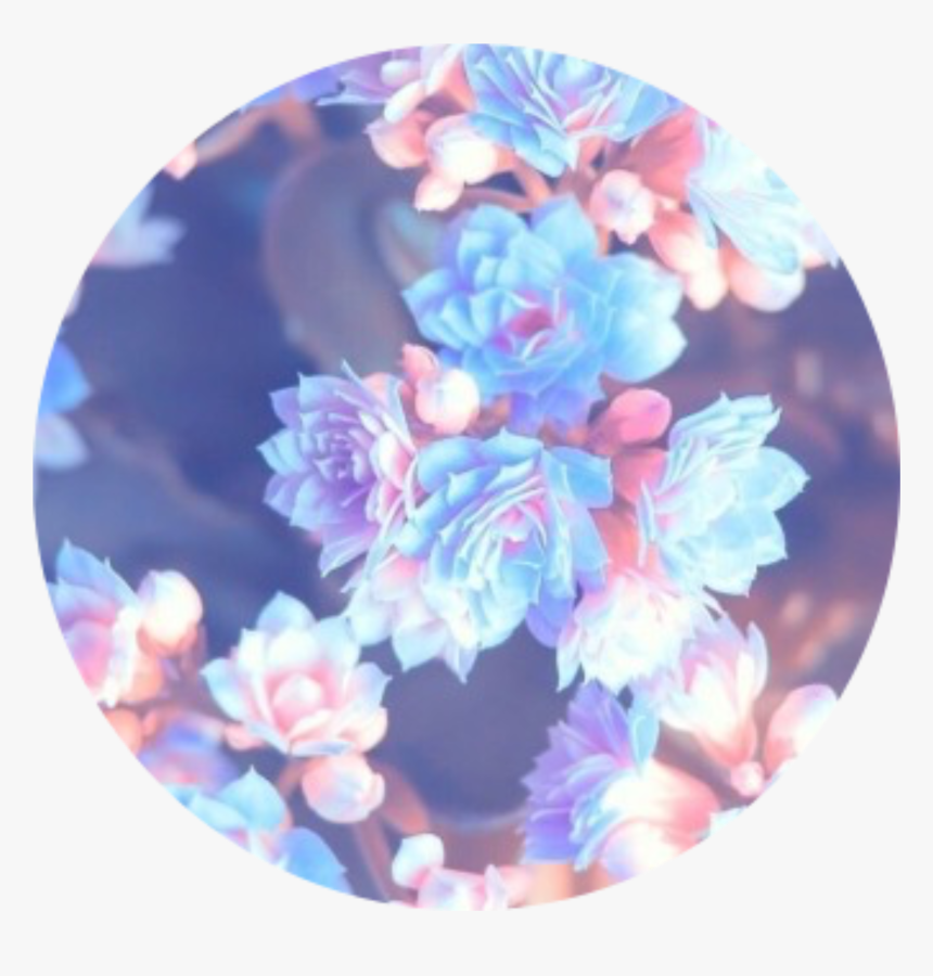 Aesthetic Flower Png, Transparent Png, Free Download