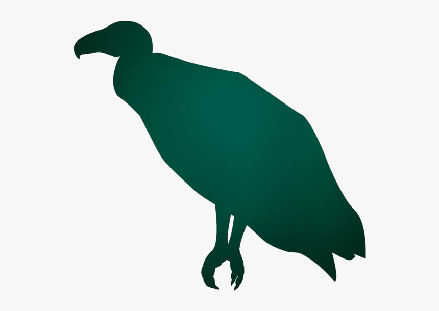 Turkey Vulture Png Silhouette Transparent Background, Png Download, Free Download