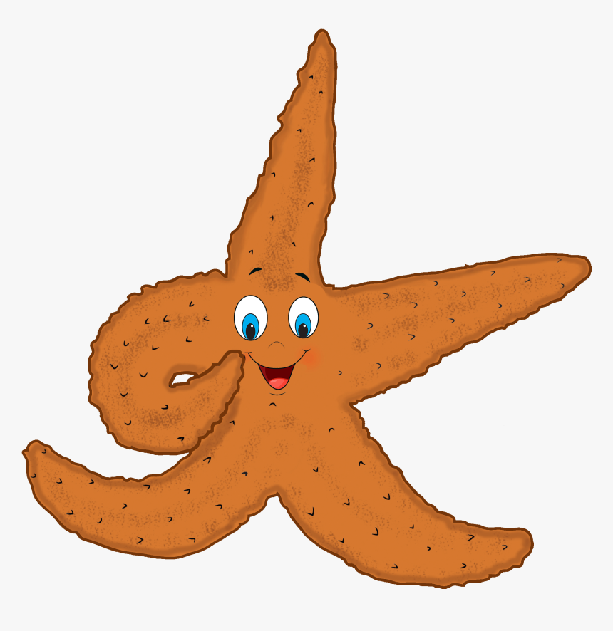 Starfish Silhouette Png, Transparent Png, Free Download