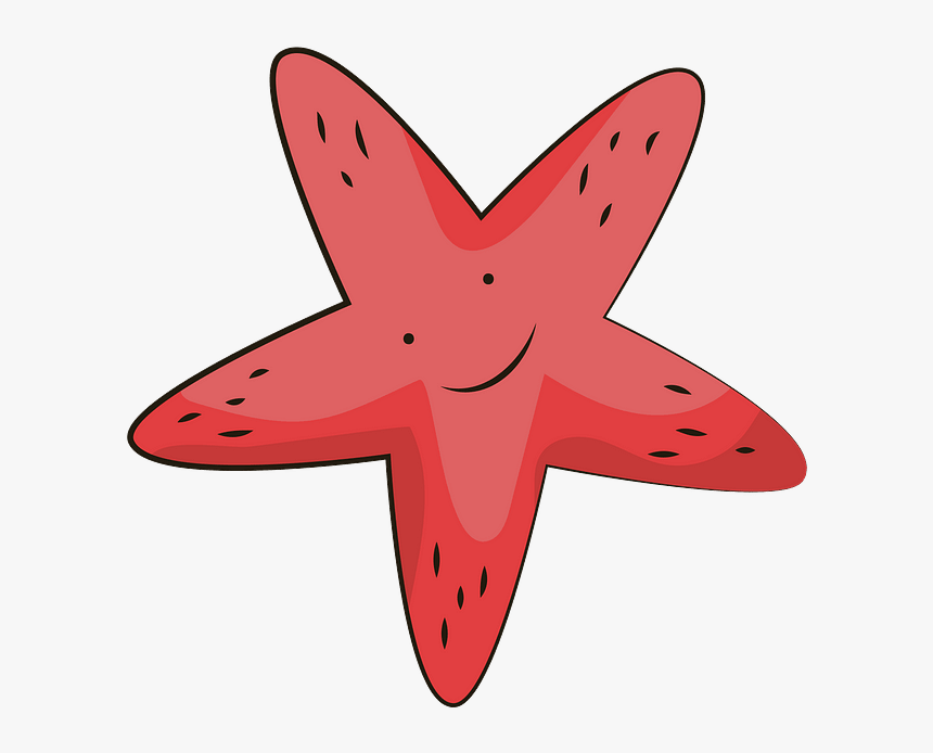Starfish Silhouette Png, Transparent Png, Free Download