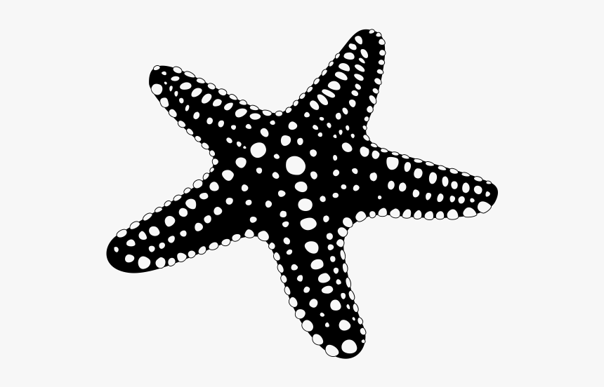 Starfish Silhouette Png, Transparent Png, Free Download